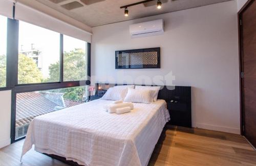 Asuncion Apartamento | Well Appointed Loft In Villa Morra