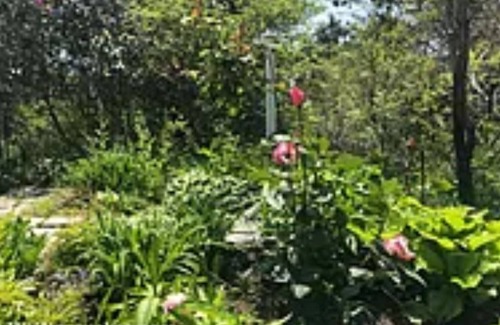 Madaket Casa | Well appointed Madaket house near beaches