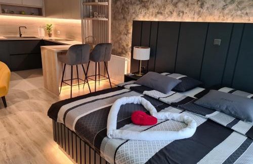 Varazdin Apartamento | Wellness Apartments - Studio Apartment with Terrace G3