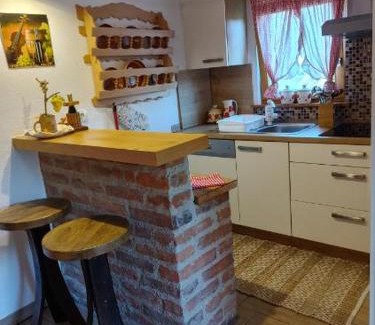 Ljutomer Apartamento | Wellness hiša Jelenov Grič