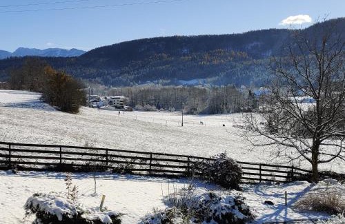 Keutschach am See Apartamento | Wellness- HotTub & Sauna- Pet Friendly- Hiking