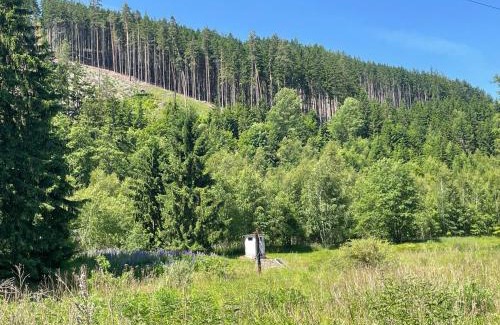 Brezova Otro | Wellness Retreat Glamping - Adults Only - Forest & Valley
