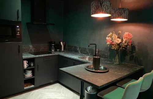 Dalerveen Chalet De Esquí | Wellnesslodge Merel