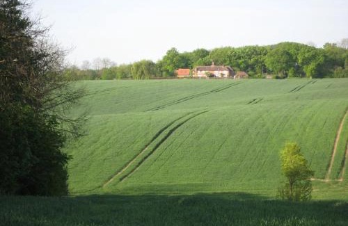 Much Hadham Casa | Wellrose Barn