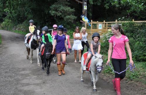 Denny Cabina | Wellsfield Farm Holiday Lodges