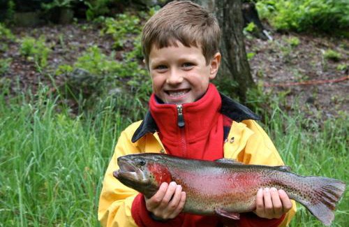 Denny Cabina | Wellsfield Farm Holiday Lodges