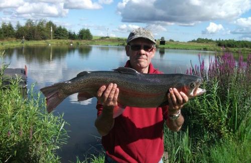 Denny Cabina | Wellsfield Farm Holiday Lodges