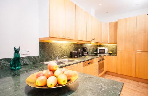 Nove Mesto Apartamento | Wenceslas Square Lofts