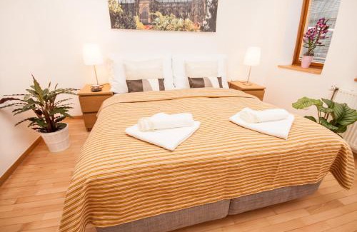 Nove Mesto Apartamento | Wenceslas Square Lofts