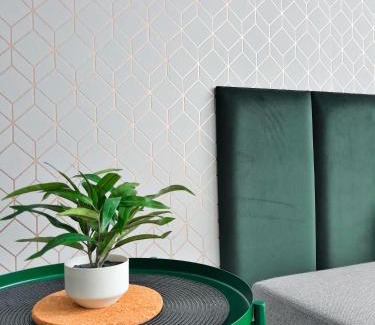 Klodzko Miasto Apartamento | Wera