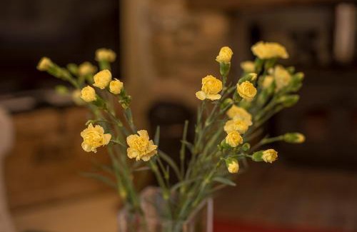 St Brides Casa | West Barn