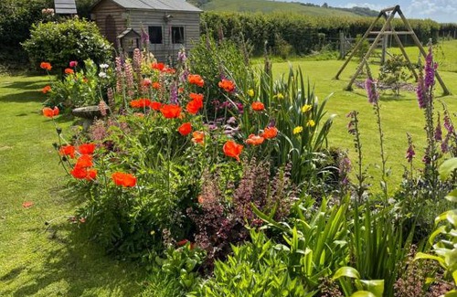 Buckfastleigh Cama Y Desayuno | Westerley Country B & B with exclusive Guest lounge