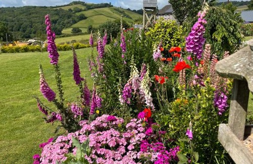 Buckfastleigh Cama Y Desayuno | Westerley Country B & B with exclusive Guest lounge