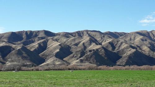 Kurow Cama Y Desayuno | Western House B&B Kurow
