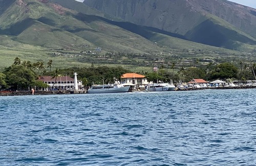 Lahaina Complejo | 🌺Westin Nanea 🌺 Book Now! Whale Season is here!🐋