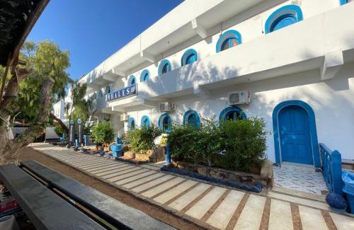 Dahab Hotel | whales camp dahab