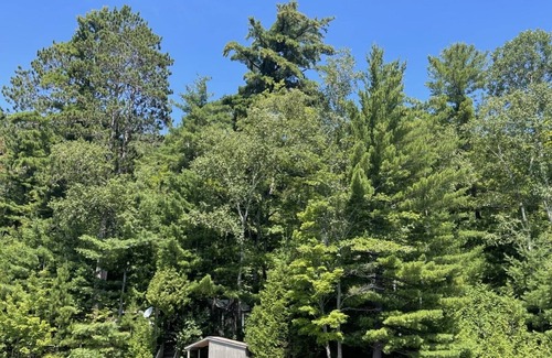 North Frontenac Cabaña | Whispering Pines Cottage