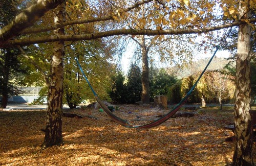 Franklin Cabina | Whispering Spirit Holiday Cottages & Mini Ponies