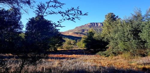 Elandskop Casa | Whistling Woods Cabin
