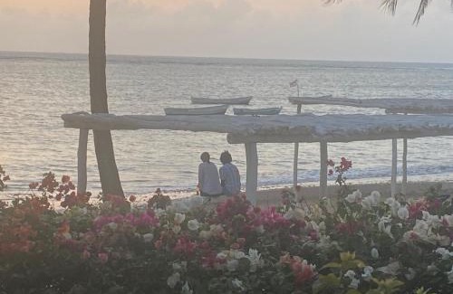 Malindi Marine National Park Casa | White Lion