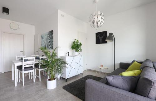 Ljutomer Apartamento | White Mountain Apartment