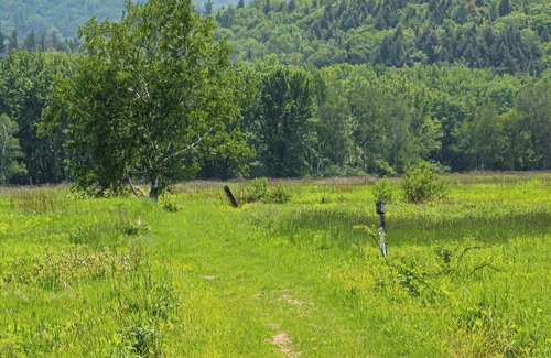 Shelburne Cabaña | White Mountain Cottage, Birchcliff