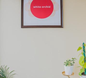 Turuk Apartamento | White Orchid