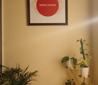 Turuk Apartamento | White Orchid