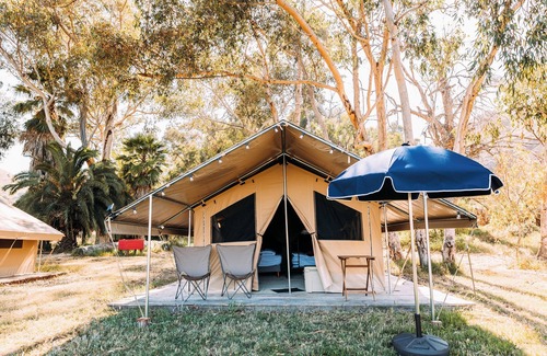 Catalina Island Alquiler De RV | White s Landing Catalina Camp