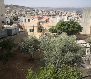 Jerash Apartamento | White tulips apartment الزنبقة البيضاء