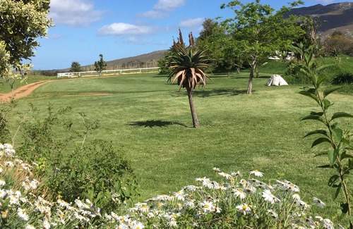 Stanford Otro | White Water Farm