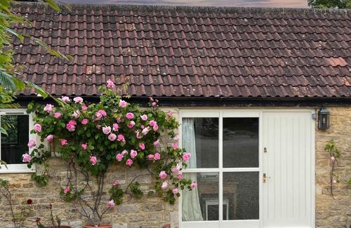 Whitley Casa | Whitley Coach House