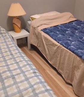 Richmond Hill Casa | Whole House Fair Price Great Amenities