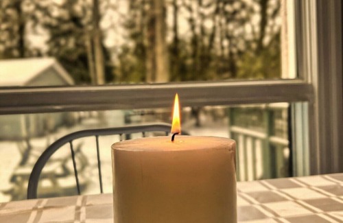 South Bruce Peninsula Cabaña | Wiarton Secluded Cottage · Secluded Cottage | Rustic | Trails | BBQ | Firepit
