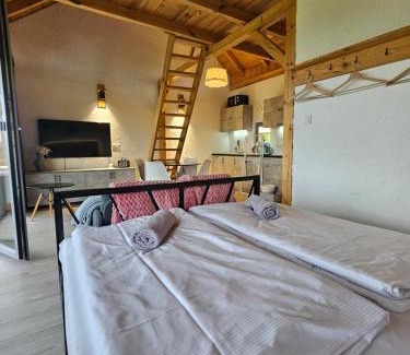 Postołow Casa | Widokowe Stodoły Bieszczady - domy z panoramą połonin