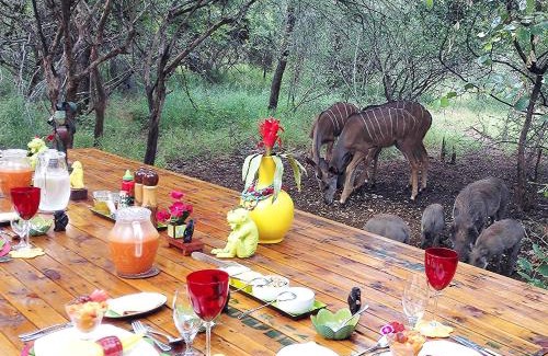 Marloth Park Cabina | Wielewaal Bush Lodge