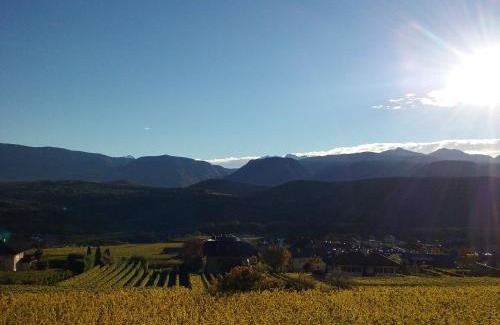Caldaro Sulla Strada del Vino Apartamento | Wiesmüllerhof