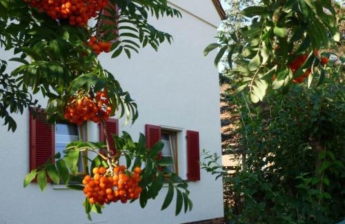 Kleinpestitz/Mockritz Casa | Wiete Lenk Comfortable holiday residence