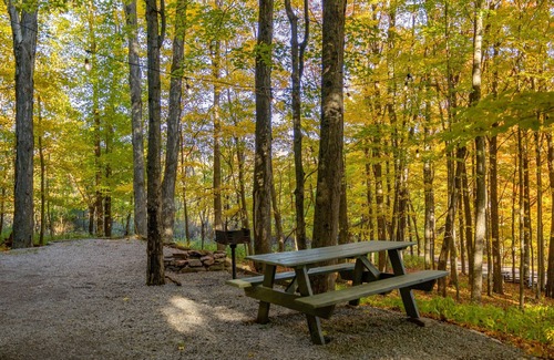 Allegheny Mountains Cabina | Economía sin sacrificio