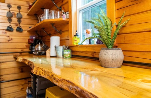 Campton Apartamento | WiFi & Waterfront - Cozy Creek - Minimalist Camper's Cabin in Red River Gorge, Kentucky!