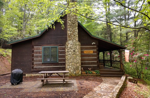 Lansing Cabina | WIL-DEER-NESS cabina- Aislado * Firepit * Bañera de hidromasaje * Río * hamaca * Wi-Fi * Se admiten perros