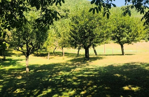 Valmozzola Alquiler De RV | WILD Camping Site in an Italian Orchard