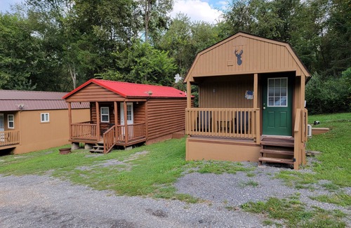 Dandridge Cabina | Wild Deer Cabin. Short walk to Douglas Lake. Half Hour from Pigeon Forge.