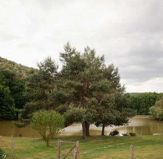 Nagycsepely Apartamento | Wild&Free Private Lake