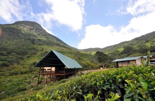 Medadumbara Otro | Wild Glamping Knuckles - Thema Collection