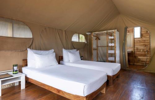 Medadumbara Otro | Wild Glamping Knuckles - Thema Collection