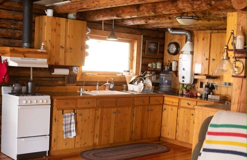 Big Arm Cabina | WILD HORSE ISLAND!