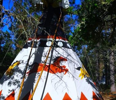 Cave Junction Otro | Wild Horses Luxury Tipi - Adjustable King Bed