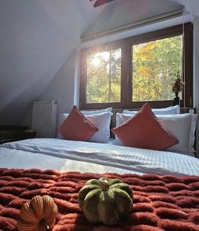 Sinaia Chalet De Esquí | Wild House