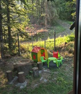 Sinaia Chalet De Esquí | Wild House